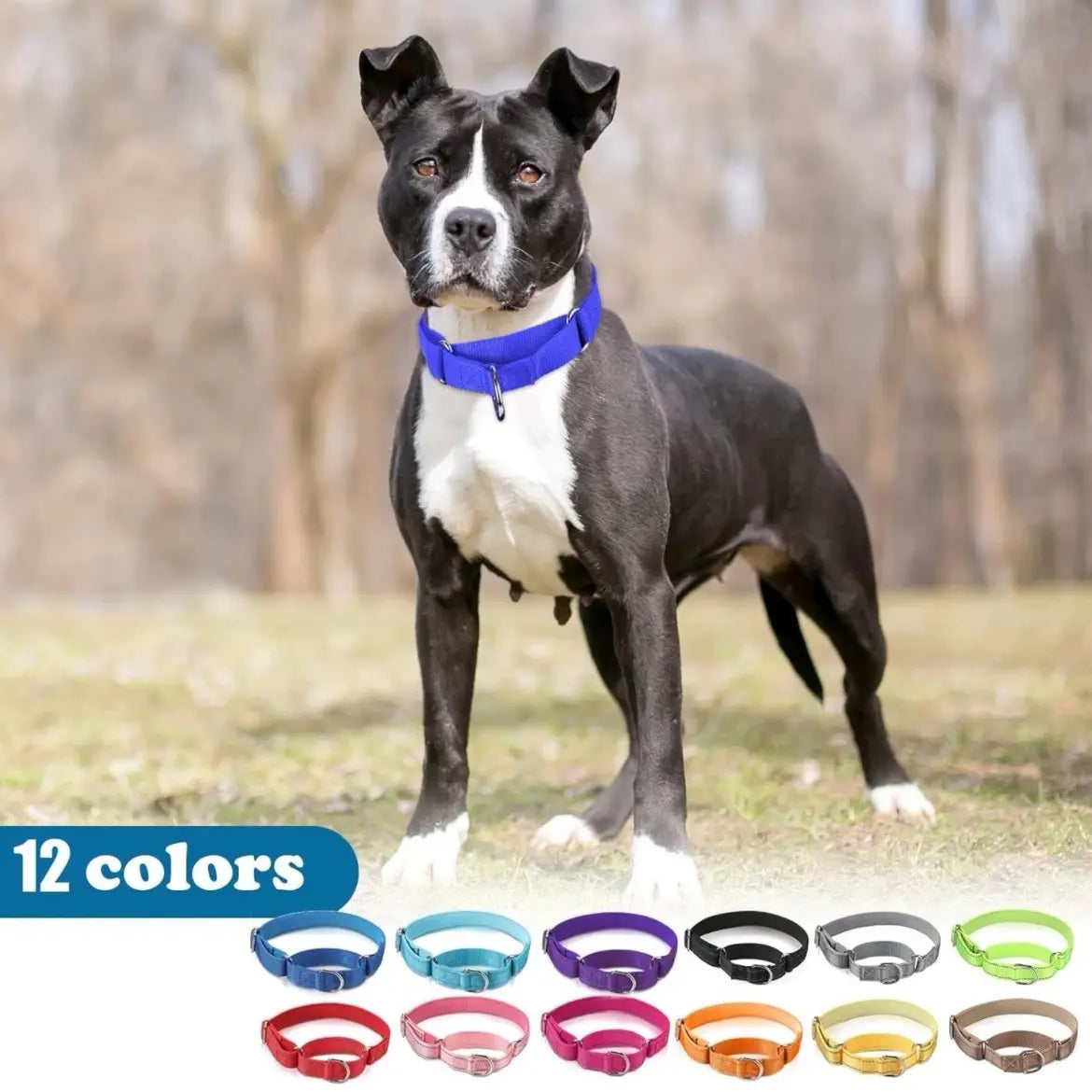 Personalized Martingale Collar - Adjustable Training Collar Dog Collar Pet Collar