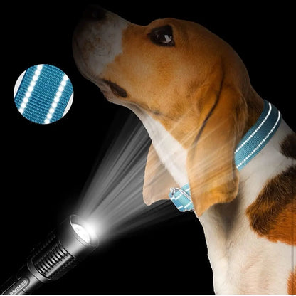 Personalized Martingale Collar - Adjustable Training Collar Dog Collar Pet Collar