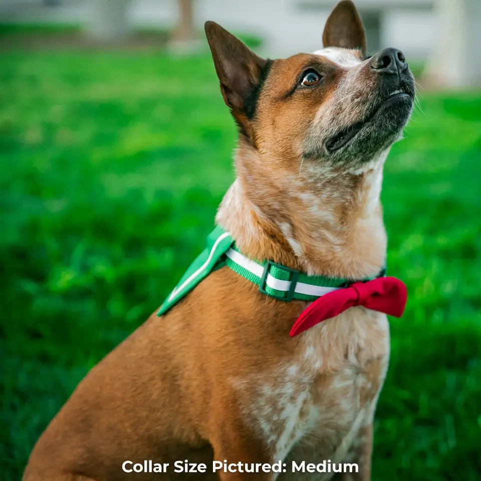 Kagome-Inspired Collar