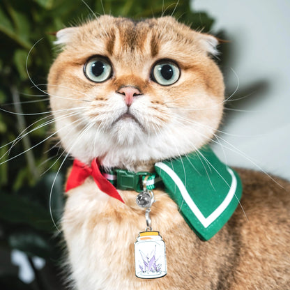 Kagome-Inspired Collar