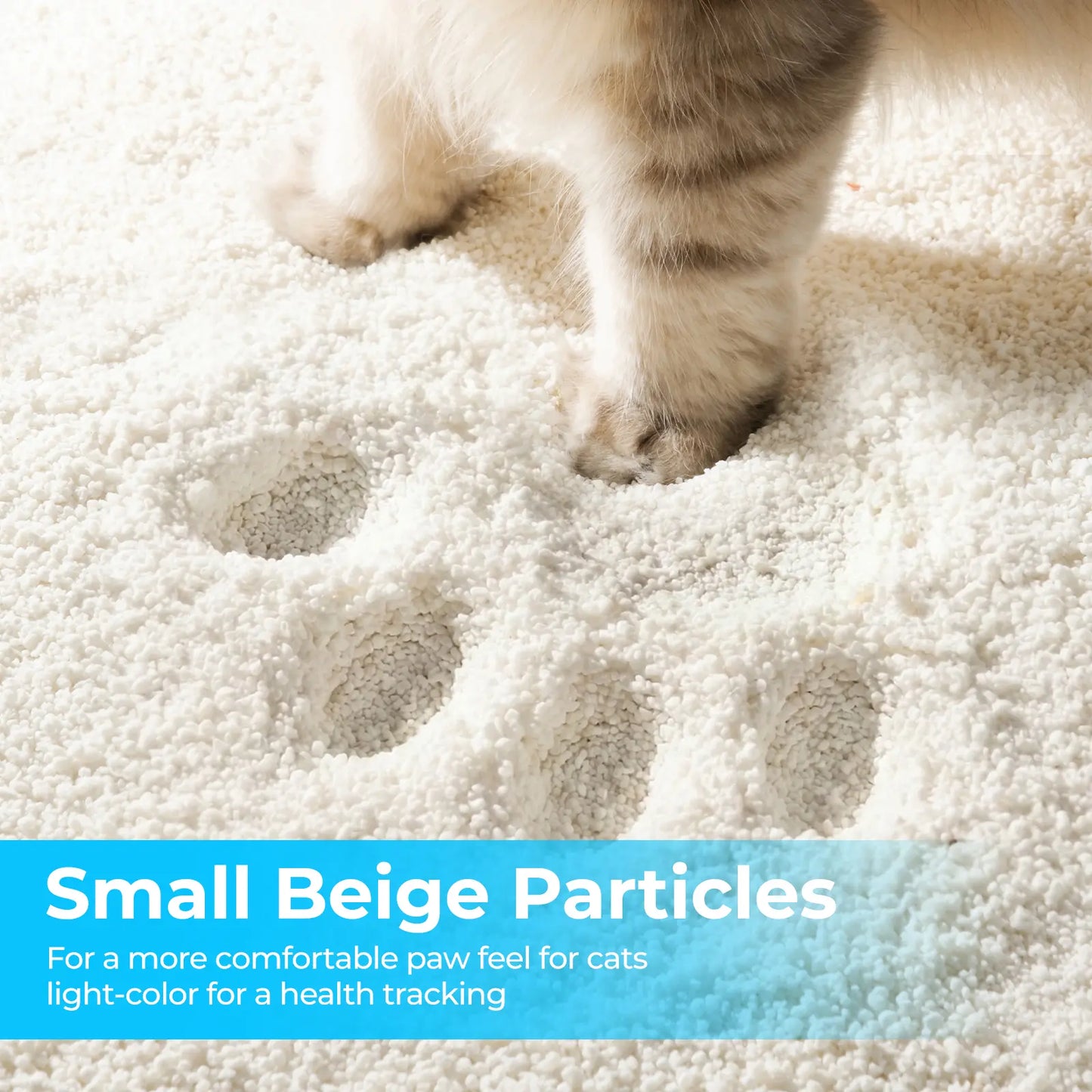 G&S Premium Universal Plant-Derivatives Cat Litter - Strong Clumping, Low Dust, Odor Control, Anti-Stick to Litter Box, Highly Absorbent, Ph Health Monitoring