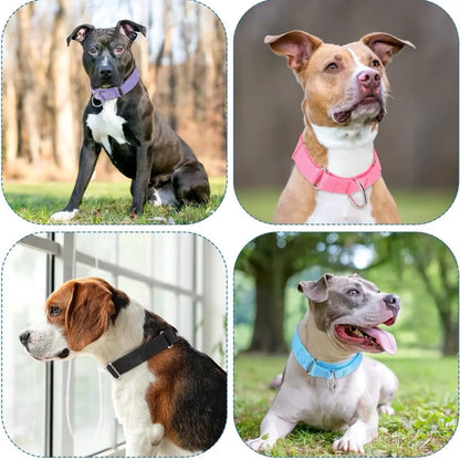 Personalized Martingale Collar - Adjustable Training Collar Dog Collar Pet Collar