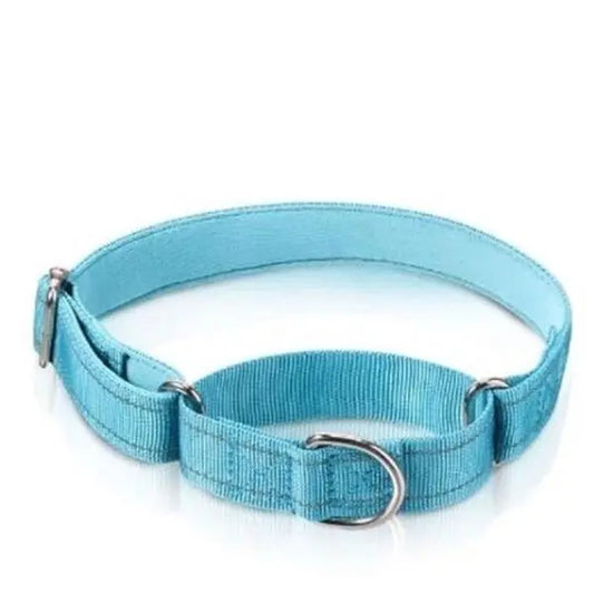 Personalized Martingale Collar - Adjustable Training Collar Dog Collar Pet Collar